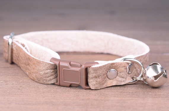 leather kitten collar