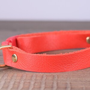 May include: A bright orange leather cat collar with a gold bell and buckle.