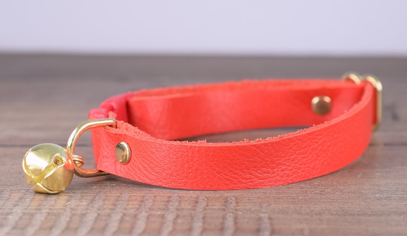 May include: A bright orange leather cat collar with a gold bell and buckle.