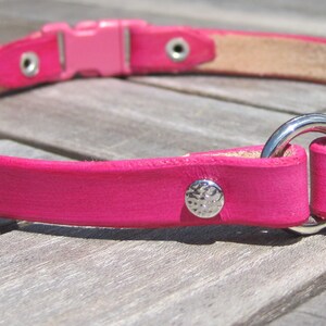 Pu&ograve; includere: Un collare per cani in pelle rosa brillante con una fibbia argentata e un anello a D argentato. Il collare ha due rivetti argentati.