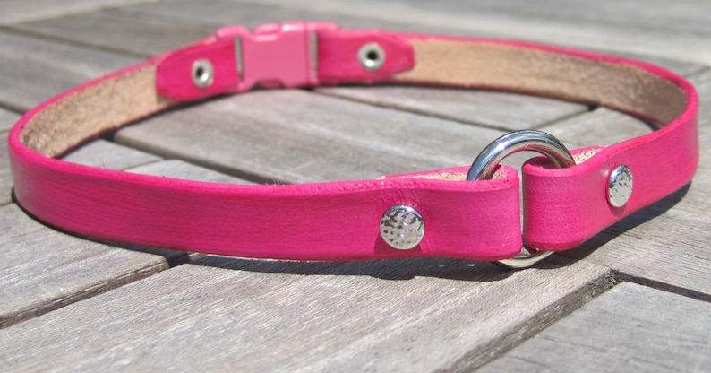Pu&ograve; includere: Un collare per cani in pelle rosa brillante con una fibbia argentata e un anello a D argentato. Il collare ha due rivetti argentati.