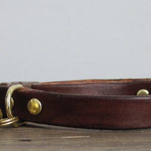 May include: A brown leather cat collar with a brass bell and buckle.