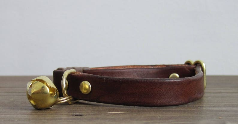 May include: A brown leather cat collar with a brass bell and buckle.