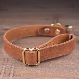 May include: A brown leather dog collar with a gold metal buckle. The collar is made of a soft, supple leather and has a classic design.