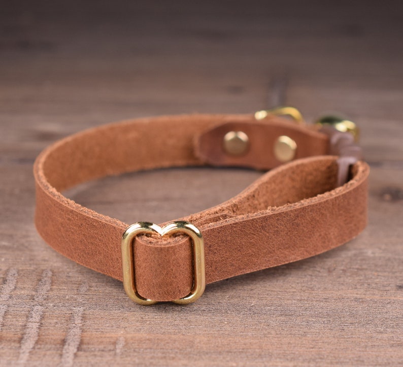 May include: A brown leather dog collar with a gold metal buckle. The collar is made of a soft, supple leather and has a classic design.