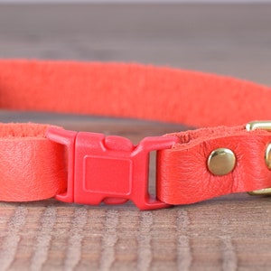 May include: A bright orange leather cat collar with a red plastic buckle and a gold bell.
