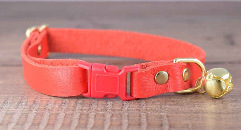 May include: A bright orange leather cat collar with a red plastic buckle and a gold bell.