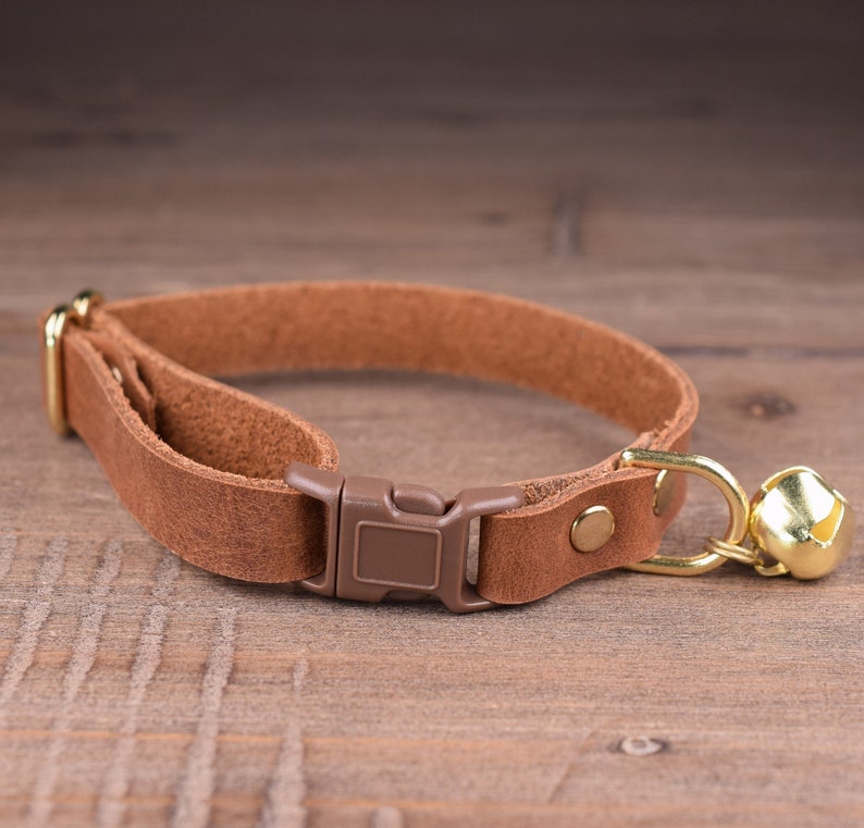 May include: A brown leather cat collar with a brown plastic buckle and a gold bell.