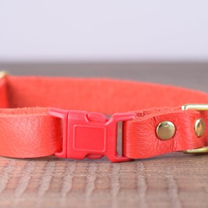 May include: A bright red leather cat collar with a gold bell and a red plastic buckle.