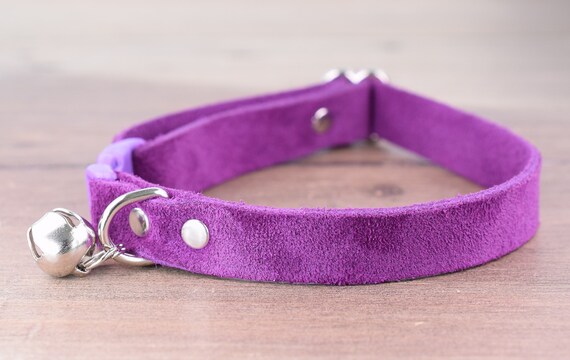 lilac cat collar