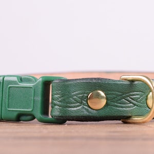May include: A green leather dog collar with a braided pattern and brass-coloured hardware. The collar has a plastic buckle and a metal D-ring for leash attachment. The collar is approximately 2.5 cm wide.