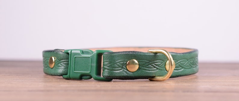 May include: A green leather dog collar with a braided pattern and brass-coloured hardware. The collar has a plastic buckle and a metal D-ring for leash attachment. The collar is approximately 2.5 cm wide.