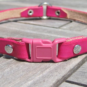 Pu&ograve; includere: Un collare per cani in pelle rosa con una fibbia argentata e due borchie argentate.