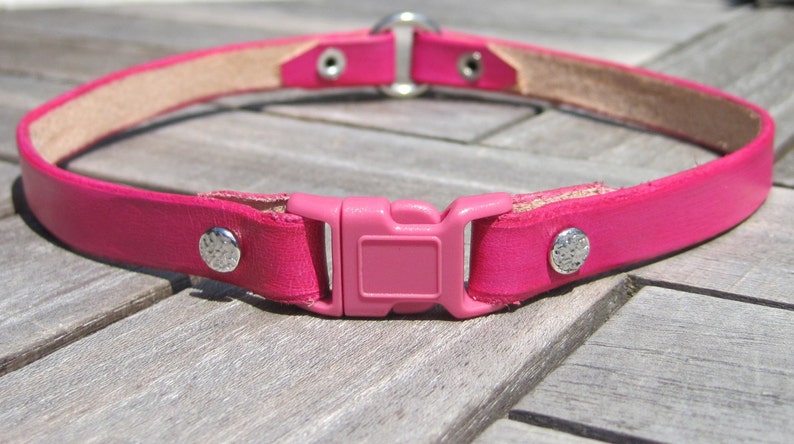 Pu&ograve; includere: Un collare per cani in pelle rosa con una fibbia argentata e due borchie argentate.
