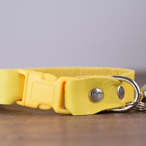 May include: A yellow leather cat collar with a silver buckle and a silver bell.