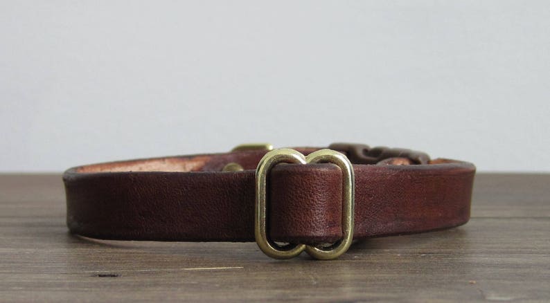 May include: A brown leather collar with a brass buckle. The buckle is a double D-ring design.