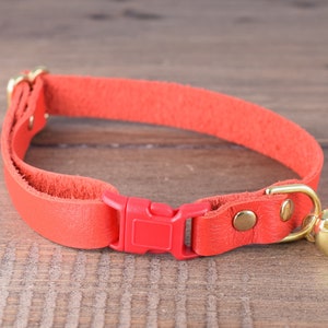 May include: A red leather cat collar with a red plastic buckle and a gold bell.