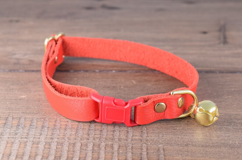 May include: A red leather cat collar with a red plastic buckle and a gold bell.
