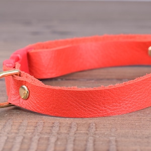 May include: A red leather cat collar with a gold bell and a red plastic buckle.