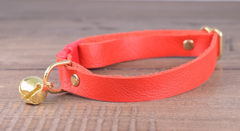 May include: A red leather cat collar with a gold bell and a red plastic buckle.