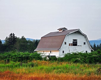 Fine Art White Barn Photograph {American Farm Ranch Photo, Old West Print, Western Photography, Horse Cow Cowboy Cowgirl, Country Sunset}