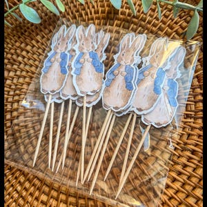 Toppers per cupcake di Peter Rabbit / racconto classico di Peter Rabbit / torta di Peter Rabbit / topper per cupcake / decorazioni per feste / confezione da 12
