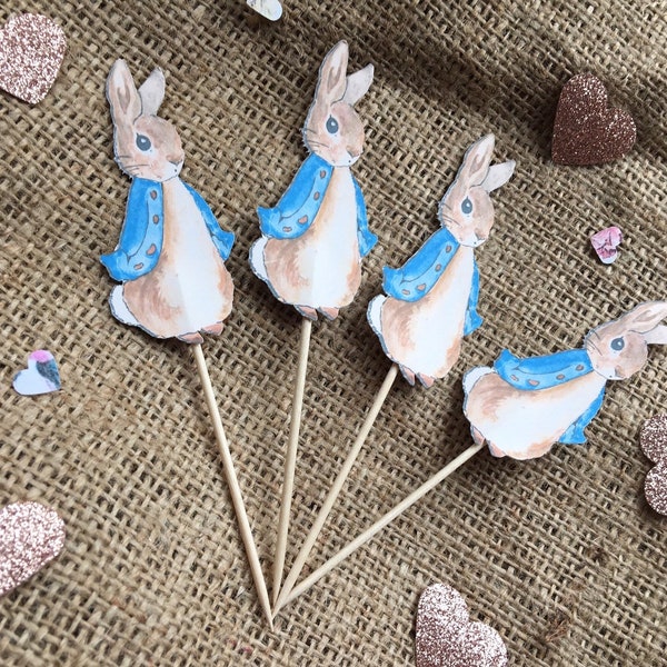 Peter Rabbit Cupcake Toppers | Peter Rabbit Theme | Baby Shower | Birthday Party | First Birthday | Cake Toppers | Party Decorations