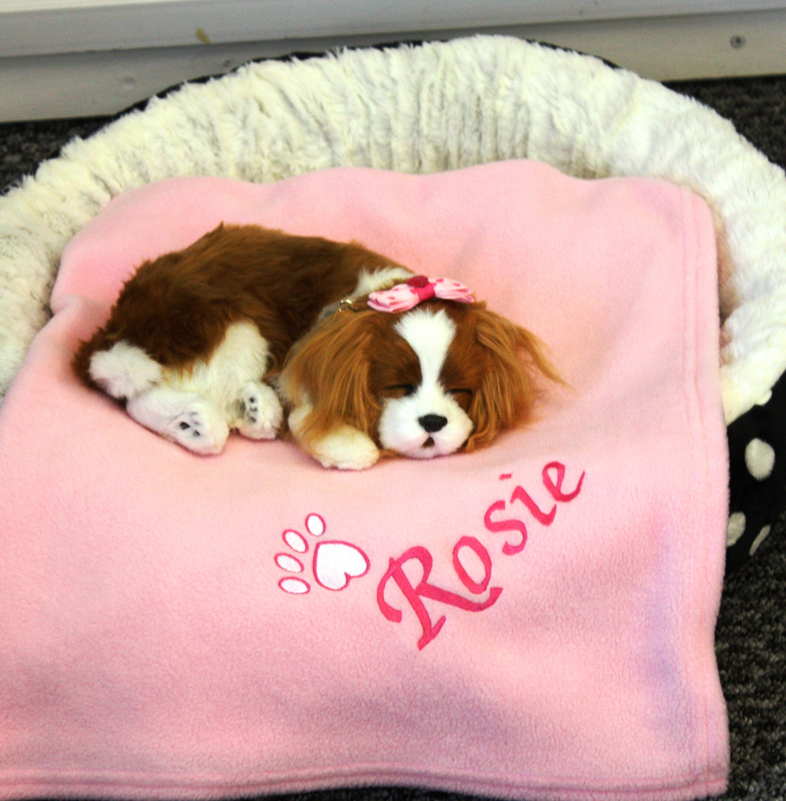 Personalised Dog Blanket. Cat Blanket. Embroidered Heart Paw Etsy UK