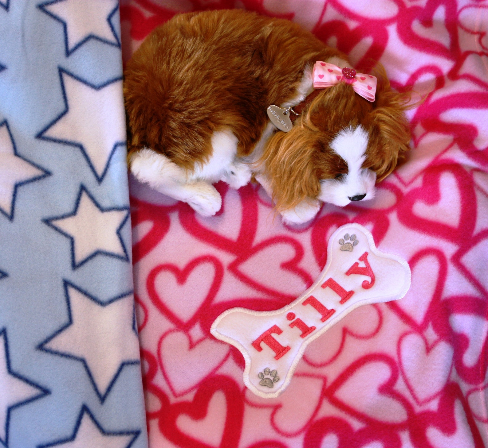 Personalised Puppy Blanket. New Puppy Blanket. Dog Blanket. Etsy