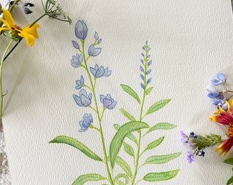 Blue Bonnet- Original watercolor painting