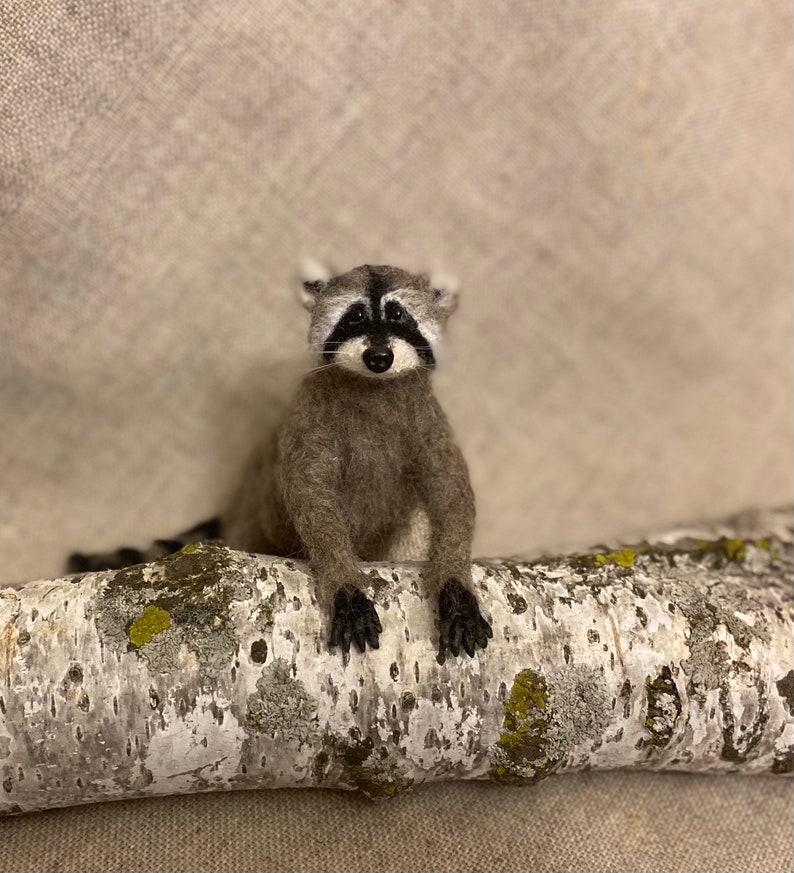 Needle Felted Raccoon. Needle Felted Animal Sculpture Etsy