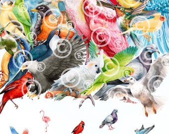 Find The Hidden Pictures Printable Series  2 - Animal Safari