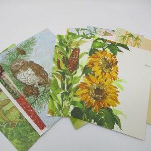 May include: A set of six vintage stationery note cards featuring nature-inspired designs. The cards feature illustrations of an owl, sunflowers, corn, and a mouse. The cards are printed on white paper with a light green border.