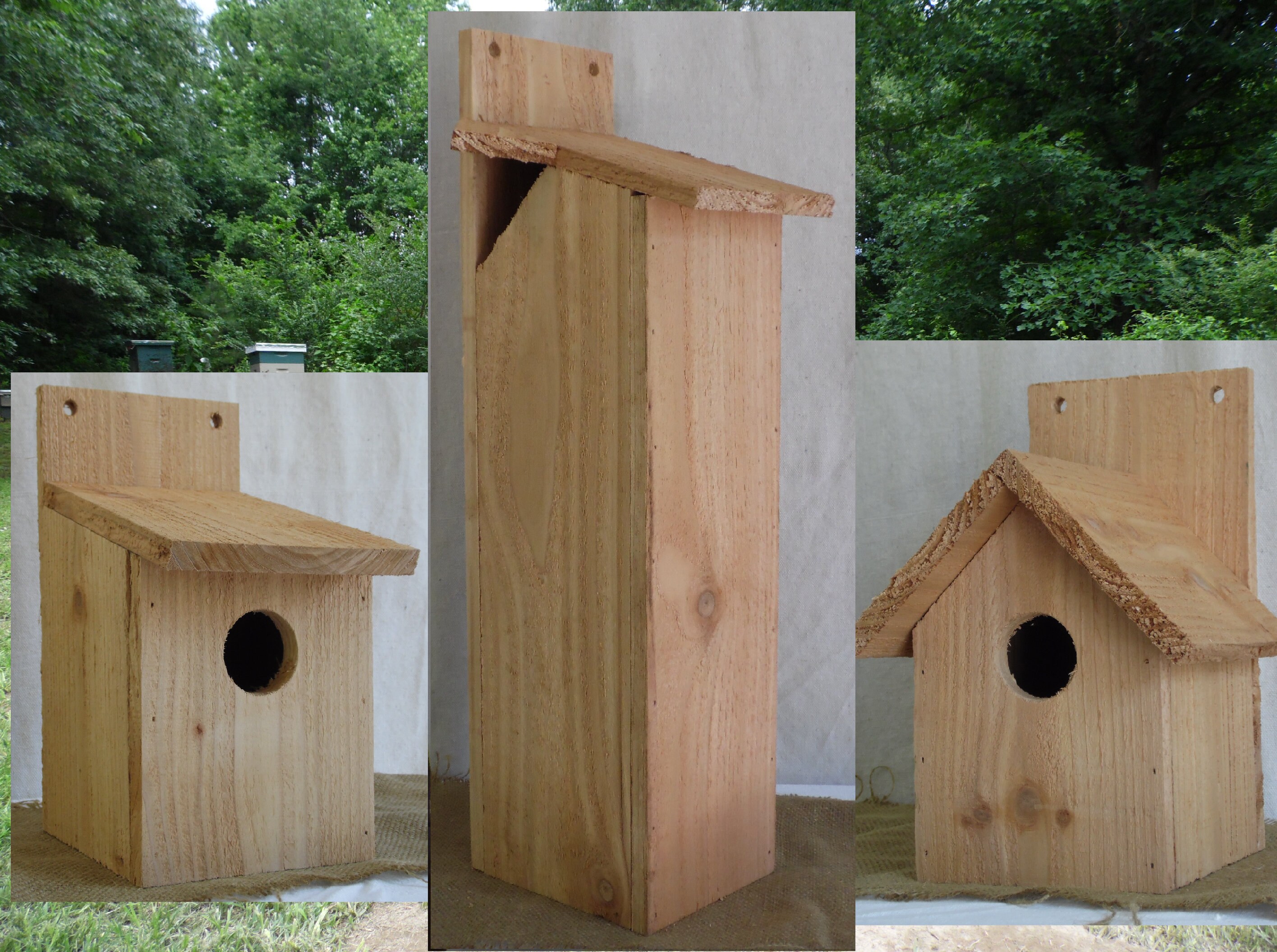 Cedar Squirrel House Garden Pack Includes Rustic Cedar Etsy