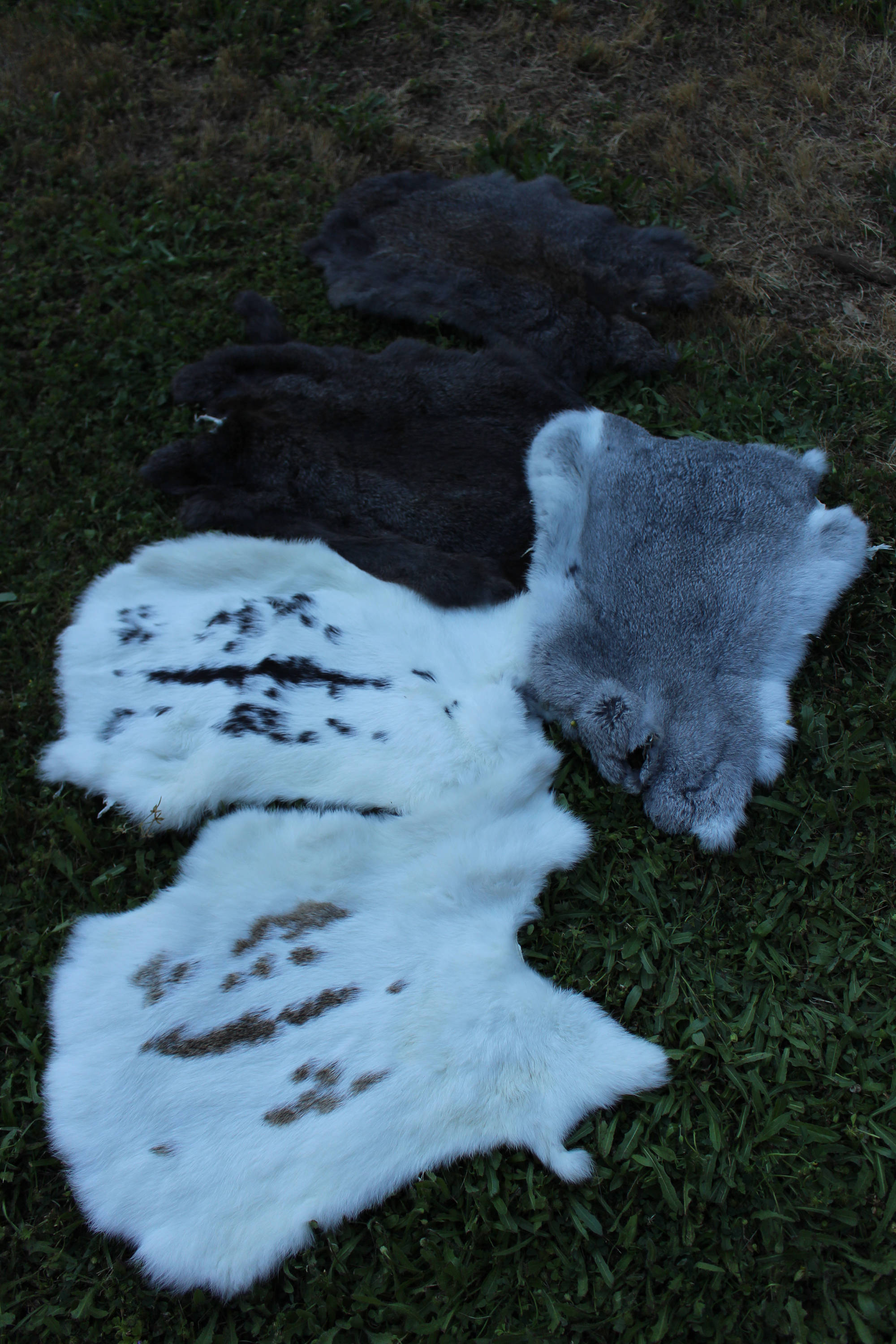 Garb Quality rabbit furs