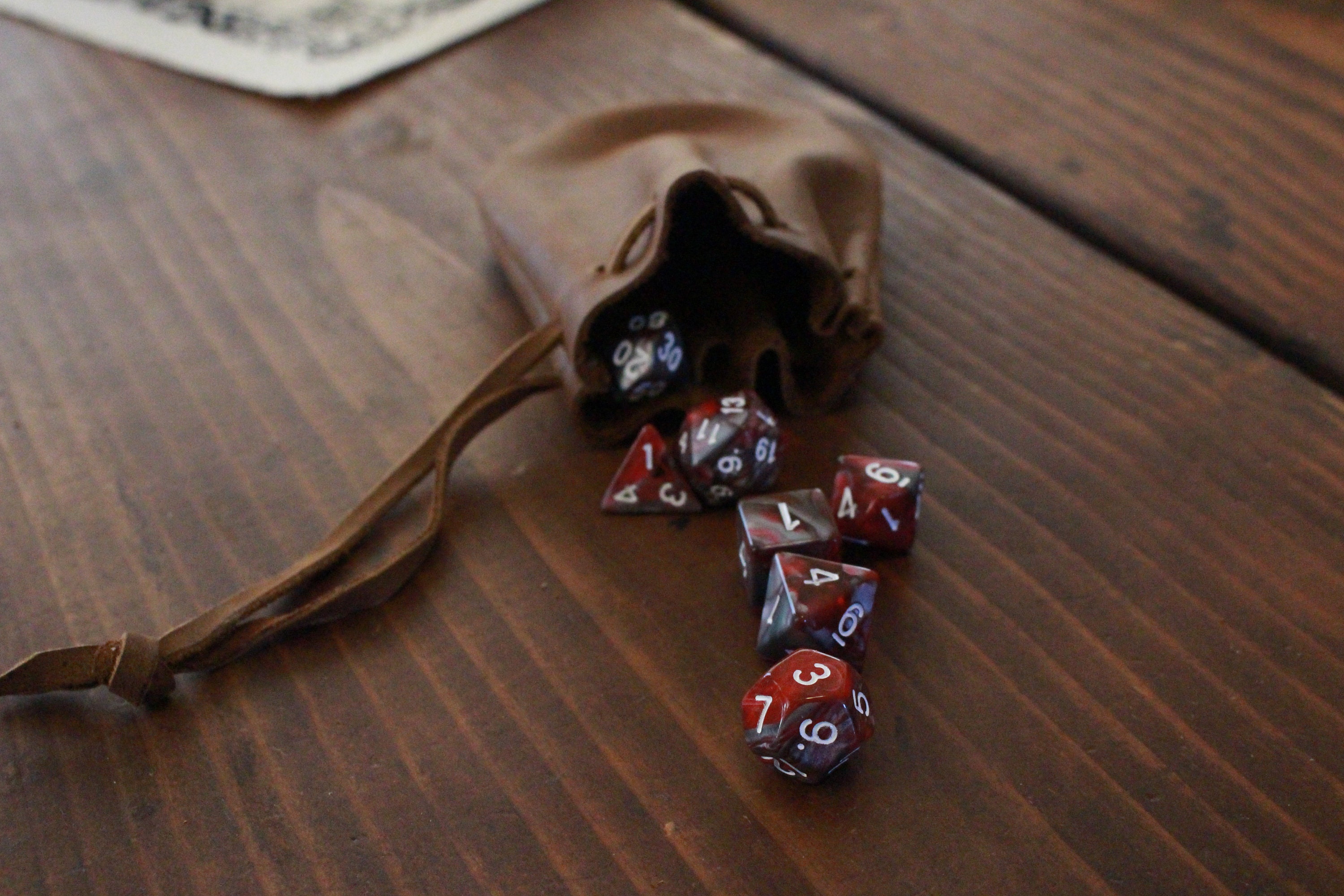 Leather DnD Dice Pouch