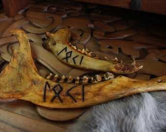 Geschnitzte nordische Loki Kieferknochen Rune