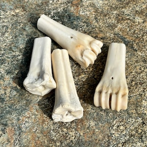 May include: Four off-white animal bones are arranged on a textured, gray and green stone surface. The bones vary in shape, with some appearing to be leg bones and others resembling hooves. The bones have a natural, weathered appearance.