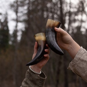 Viking Drinking Horn W/ Free Holder image 2