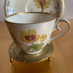 Vintage Krautheim Selb Bavaria Teacup and Saucer. Meadow Flowers Pattern