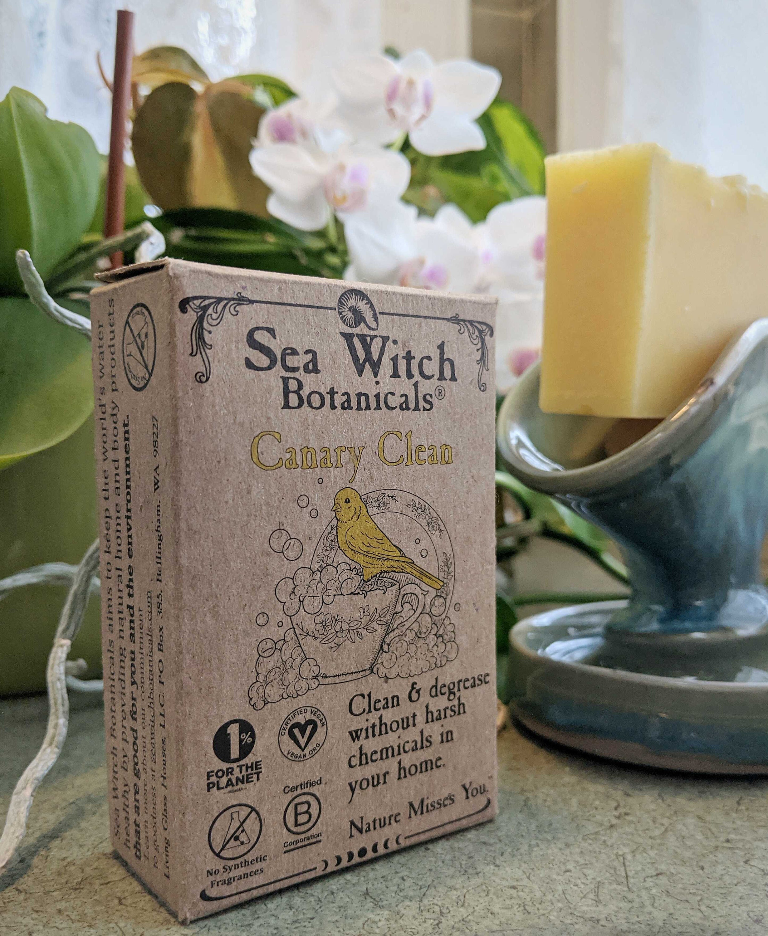 Canary Clean Zero Waste Dish Soap Bar | Vegan & Fragrance-Free for Zero-Waste Kitchen