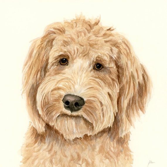 Goldendoodle Art PRINT From Original Watercolor Painting Etsy