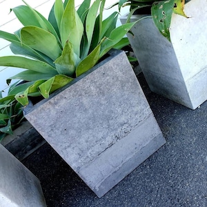 May include: Two concrete planters, one with a green succulent plant. The planters are square and have a rough, textured surface.