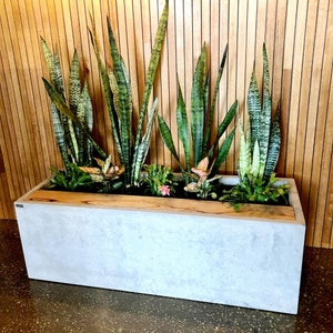 Large custom 1.5m x 500 x 500mm hand made concrete inside feature planter box/trough with timber inlay. Patio or alfresco concrete planter.