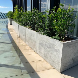 Large 1m x 500 x 500mm concrete planter box/trough. Balcony planter, patio or alfresco concrete planter.