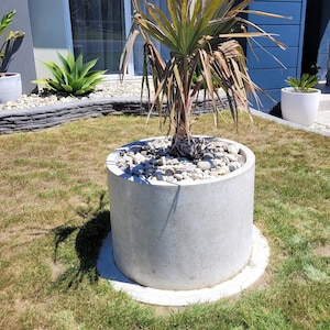 Large round concrete planter, 800mm diameter white concrete pot. Outdoor planter, balcony planter, patio or alfresco concrete planter.