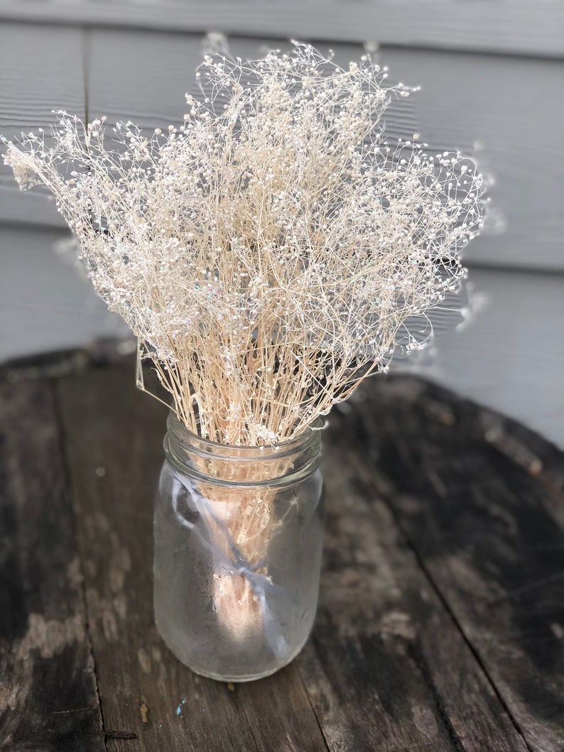 Ivory dried gypsophila bunch Off white dried baby breath with sparkle