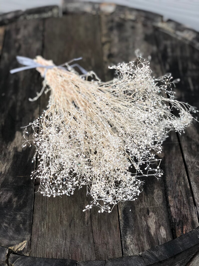 Ivory dried gypsophila bunch Off white dried baby breath with sparkle