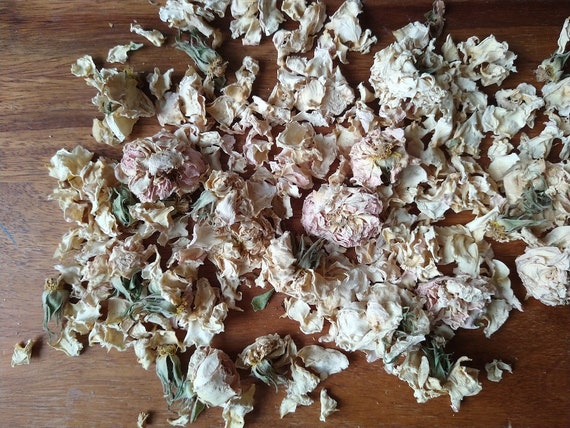 Organic Dried Rose Buds rosa Alba From the Bulgarian Rose Valley