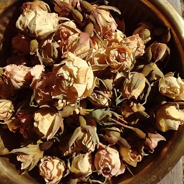 Organic Dried Rose Buds (Rosa alba) - from the Bulgarian Rose Valley